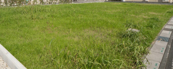 Terrain a bâtir